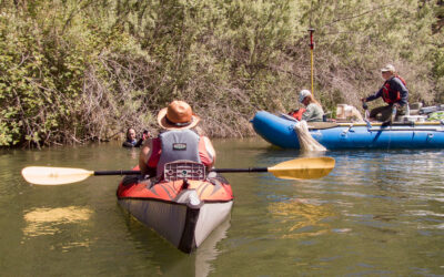 Art and Science on the Klamath River