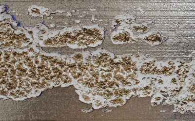 Rot Work In Progress – Final Layer
